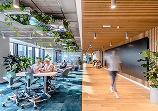 幸福感爆棚的办公环境：丹麦再生能源巨头Orsted华沙办公设计欣赏
