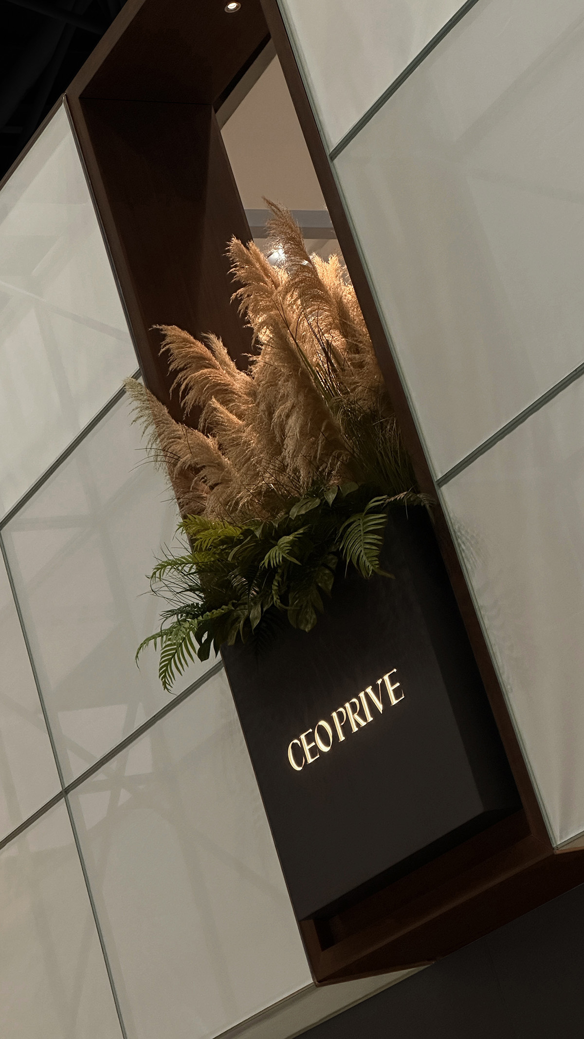 һļҾչCEO PRIVE չλ