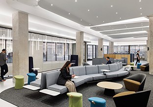 DC 37ŦԼܲ¥ܣ鶯Ԫ