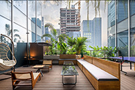 о΢Novosenseڰ칫 ͥԺ¶̨