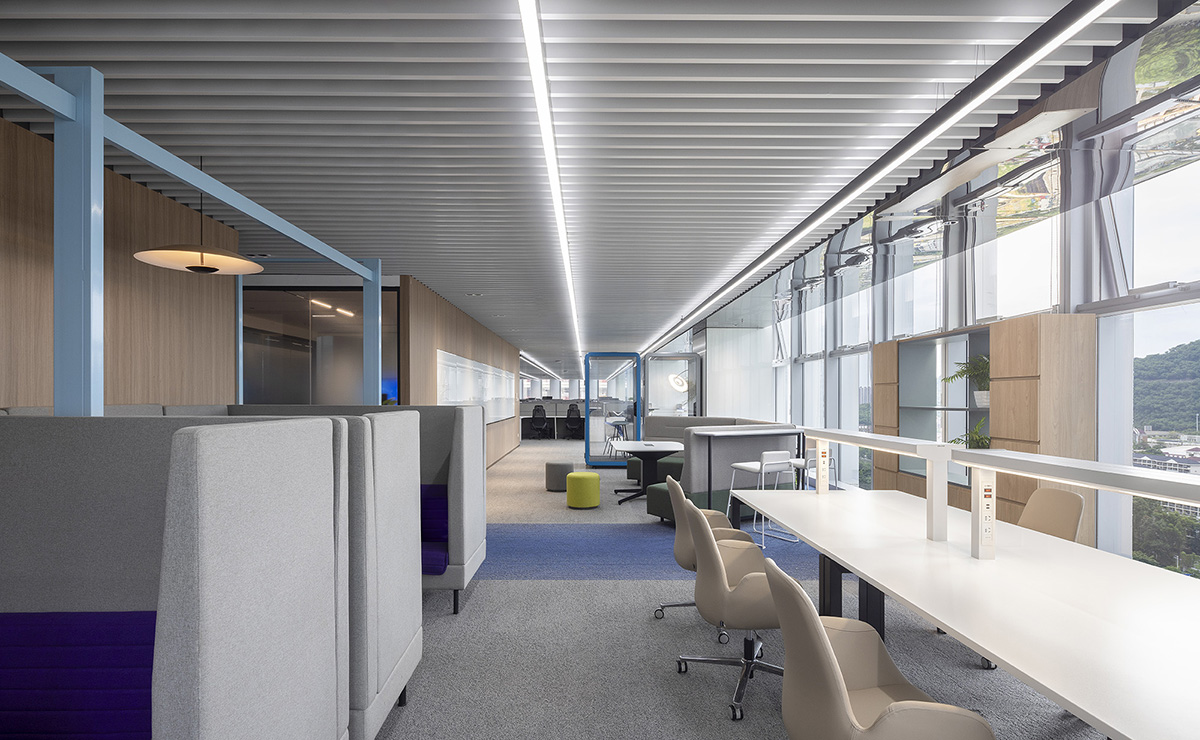 о΢NovosenseڣƼΪʣΪīдδ칫