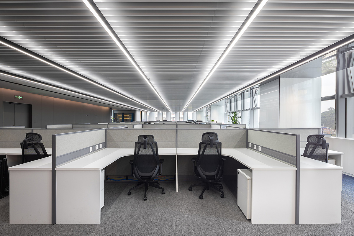 о΢NovosenseڣƼΪʣΪīдδ칫