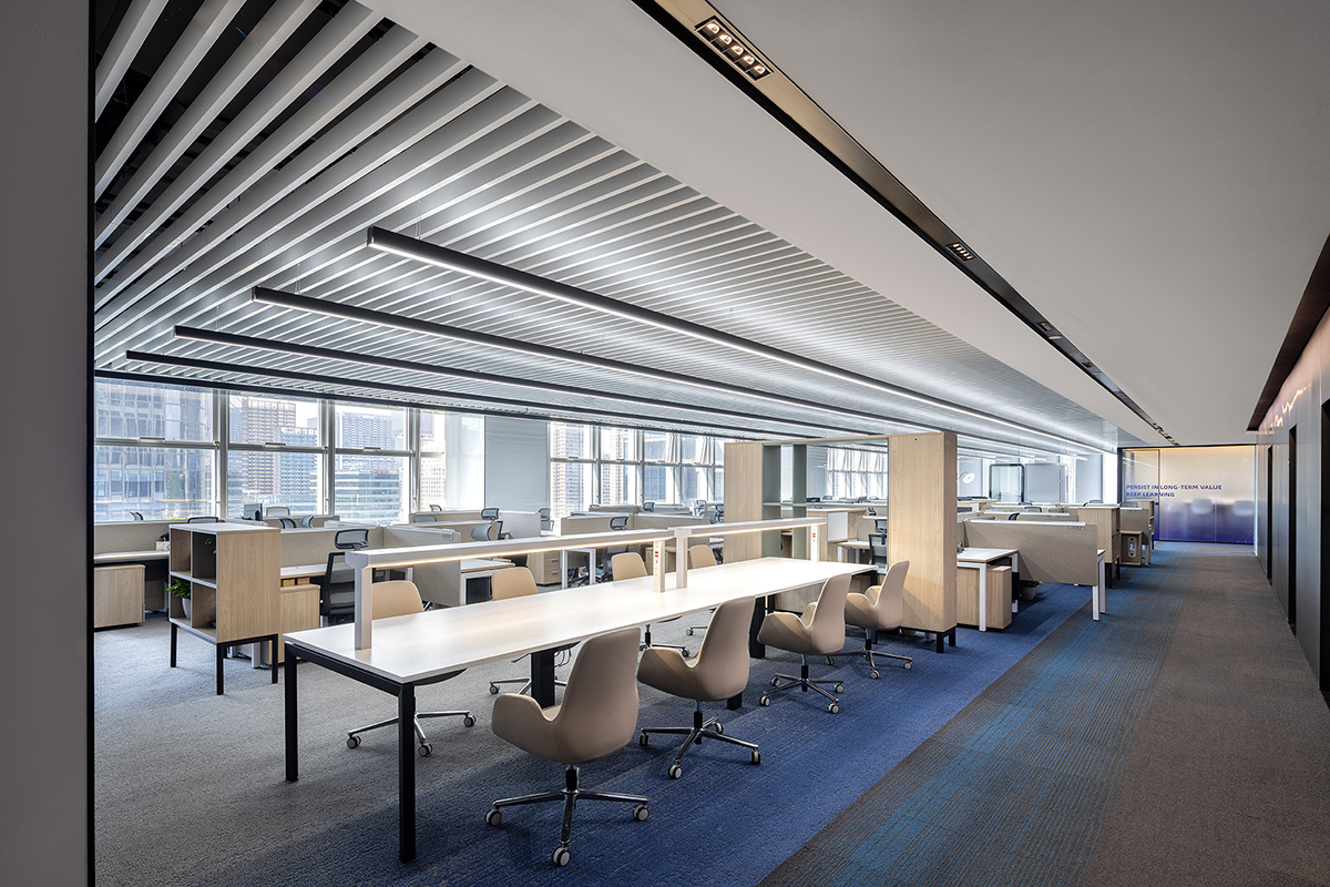 о΢NovosenseڣƼΪʣΪīдδ칫