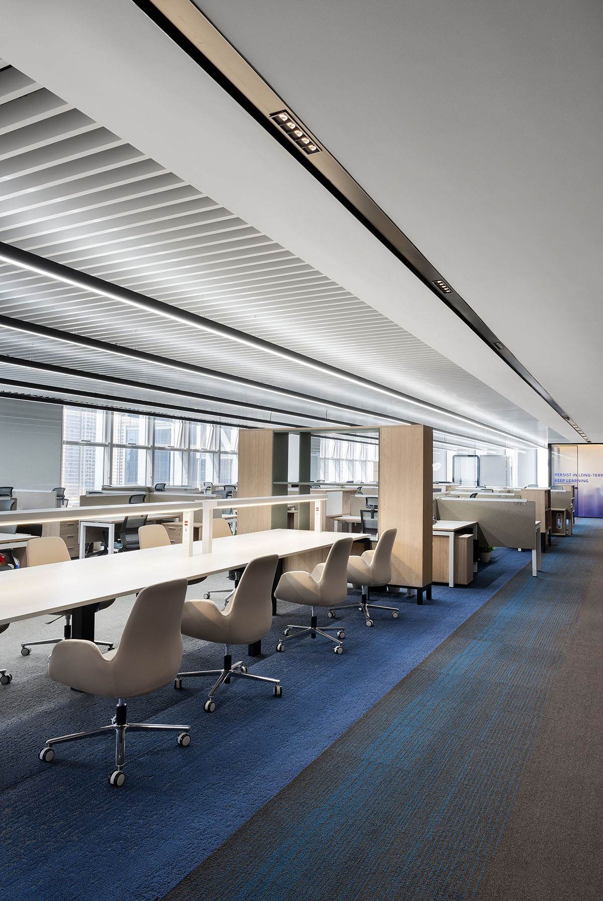 о΢NovosenseڣƼΪʣΪīдδ칫