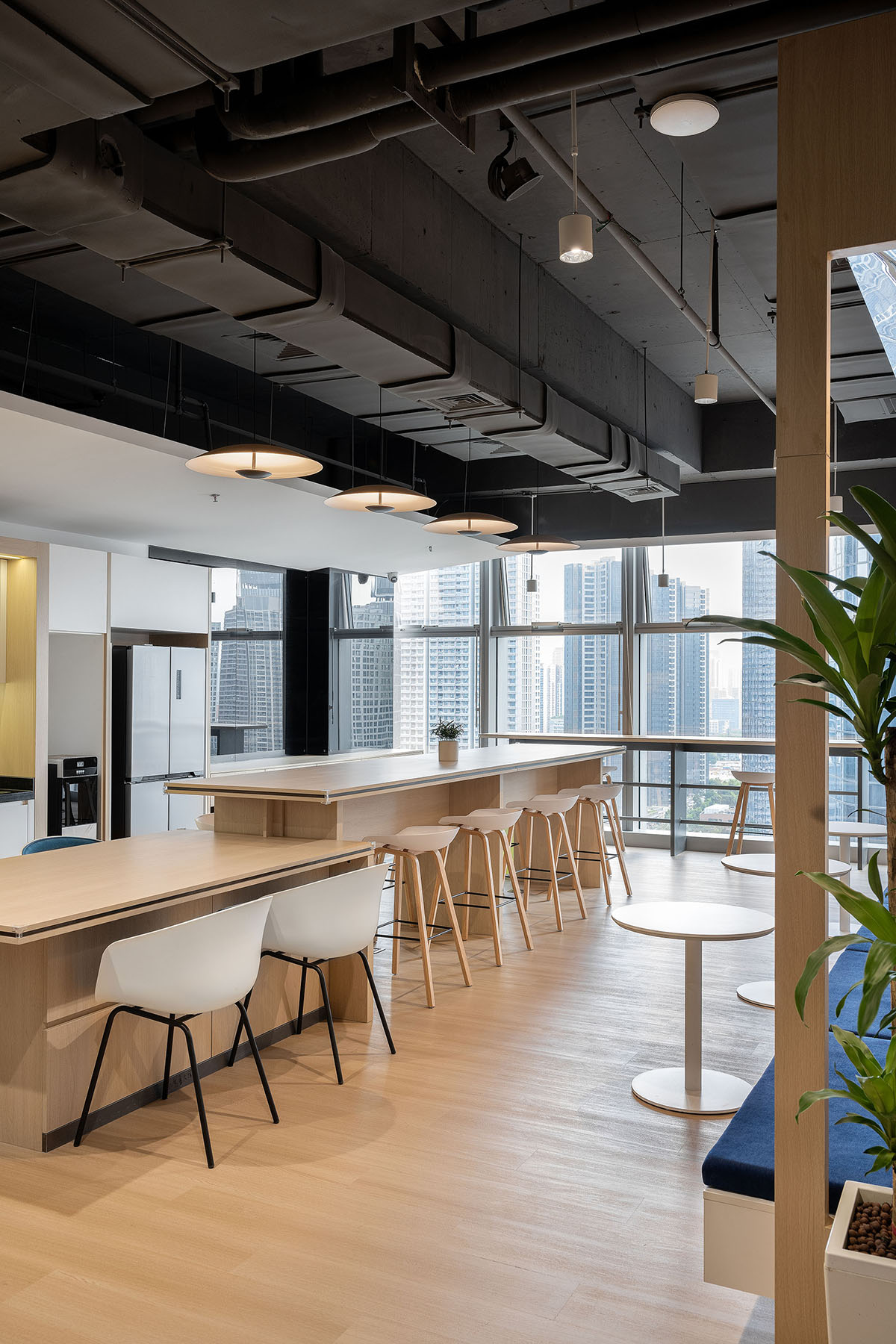 о΢NovosenseڣƼΪʣΪīдδ칫