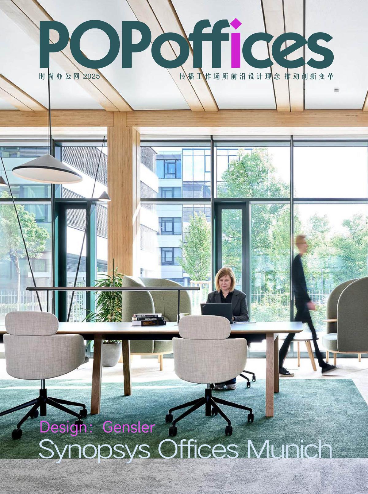 Synopsys˼ƼĽڣľƵʽռ