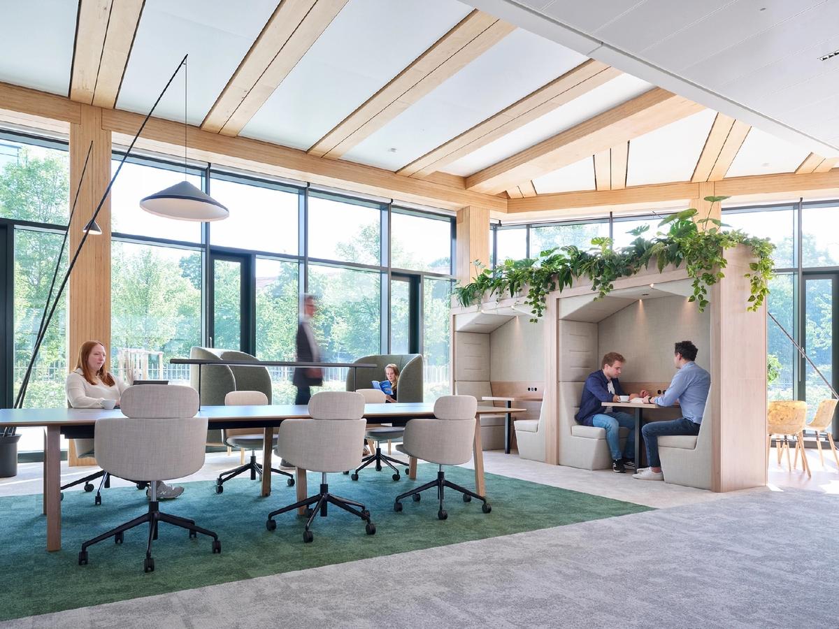 Synopsys˼ƼĽڣľƵʽռ