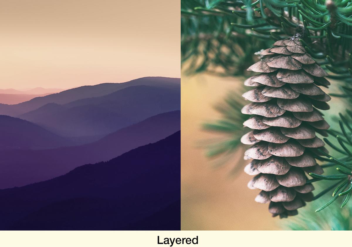 Deloitte¸绪ܲԭܶЭ