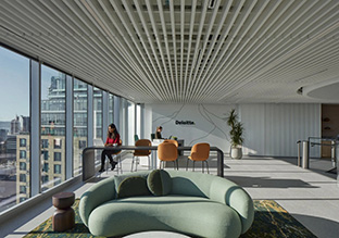 Deloitte¸绪ܲԭܶЭ