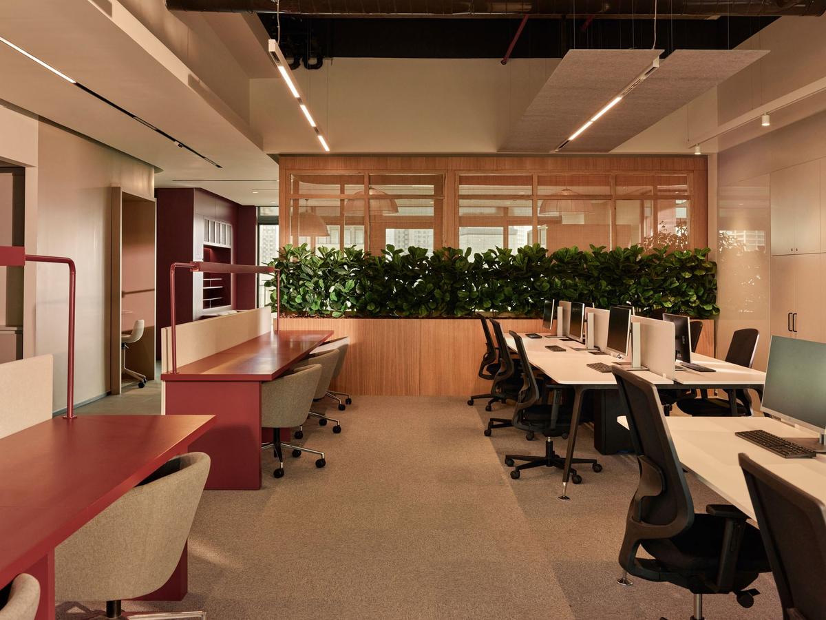 ȸHilltown칫ңԭԱҸ