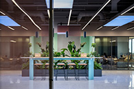 Publicis��ʨ�����Ϻ��ܲ��칫 ��������