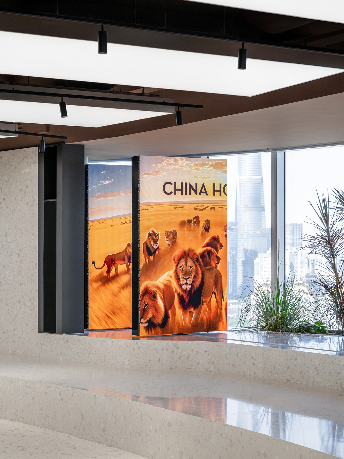 Publicis��ʨ�����Ϻ��ܲ�������Ħ�Ǵ��ⳡ