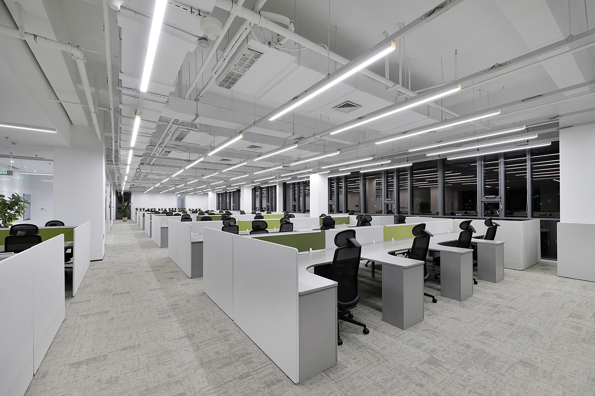 ��̩�뵼���Ϻ��ܲ����Ƽ�������˫�򱼸�