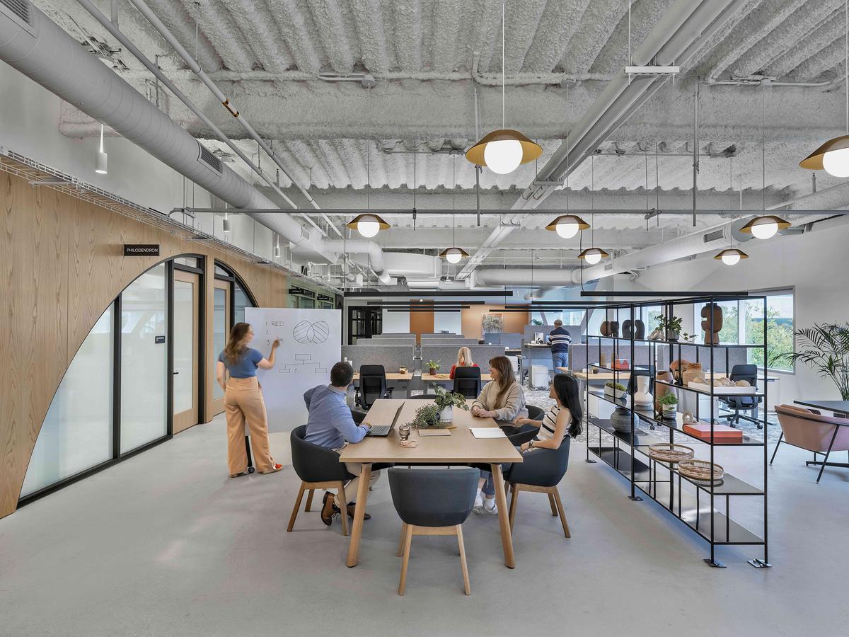 �Ƽ���ͷʥ�����ܲ�����������Ļ�������