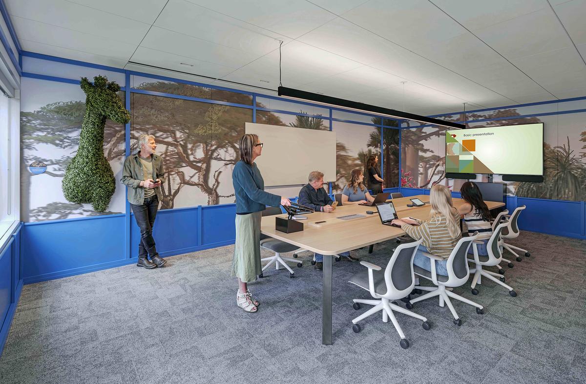 �Ƽ���ͷʥ�����ܲ�����������Ļ�������