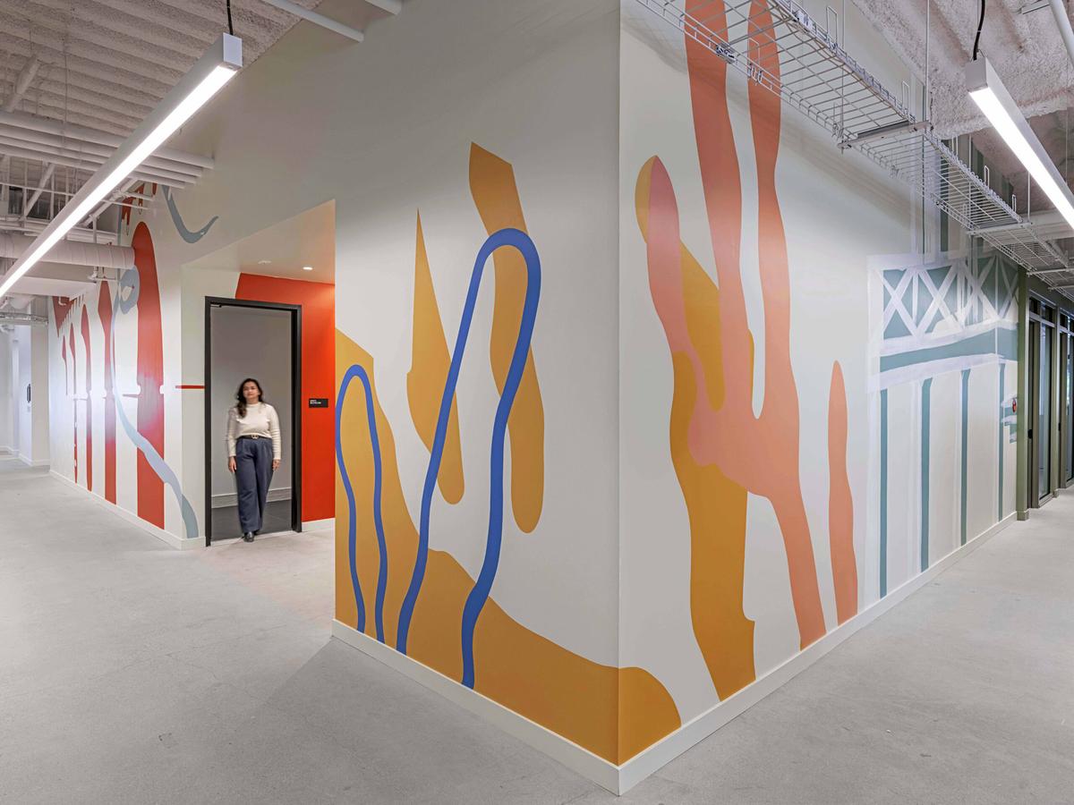 �Ƽ���ͷʥ�����ܲ�����������Ļ�������