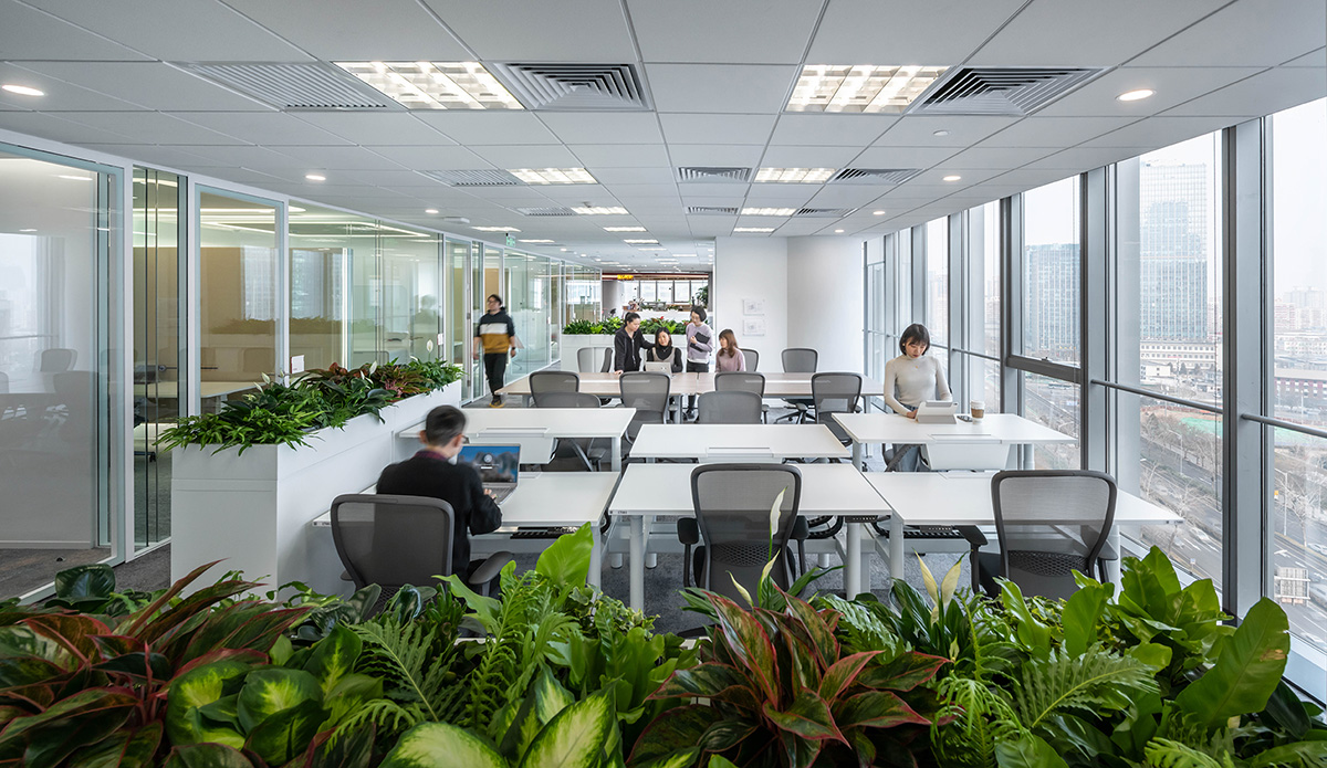 �ջ����������ܲ���ͻ�ƴ�ͳ��ʽ������������ݵ���Ӧ�Դ�ֱ԰��