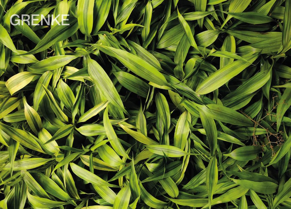 ���ڹ�˾GRENKE�����ܲ���Ա����������������