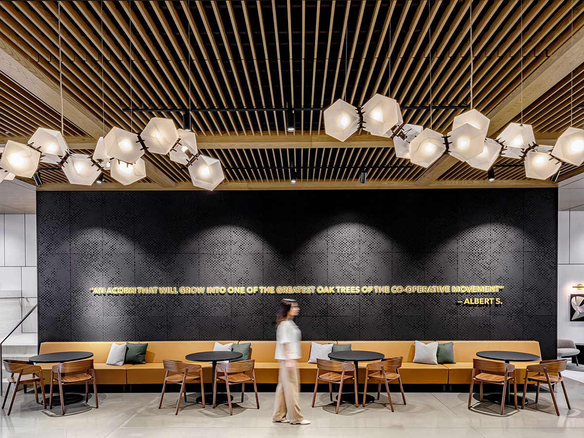 ���վ�ͷCo-operators�ܲ���˫������֤�Ľ���ʱ�а칫