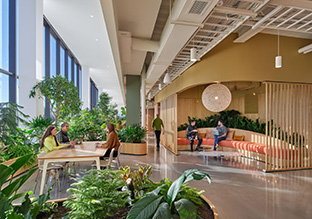 ����Arvest������ƣ����ռ�����ع���ϰ칫