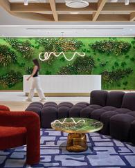 �ɽ�ɽ555Missionд��¥���׷������� ��ֲ