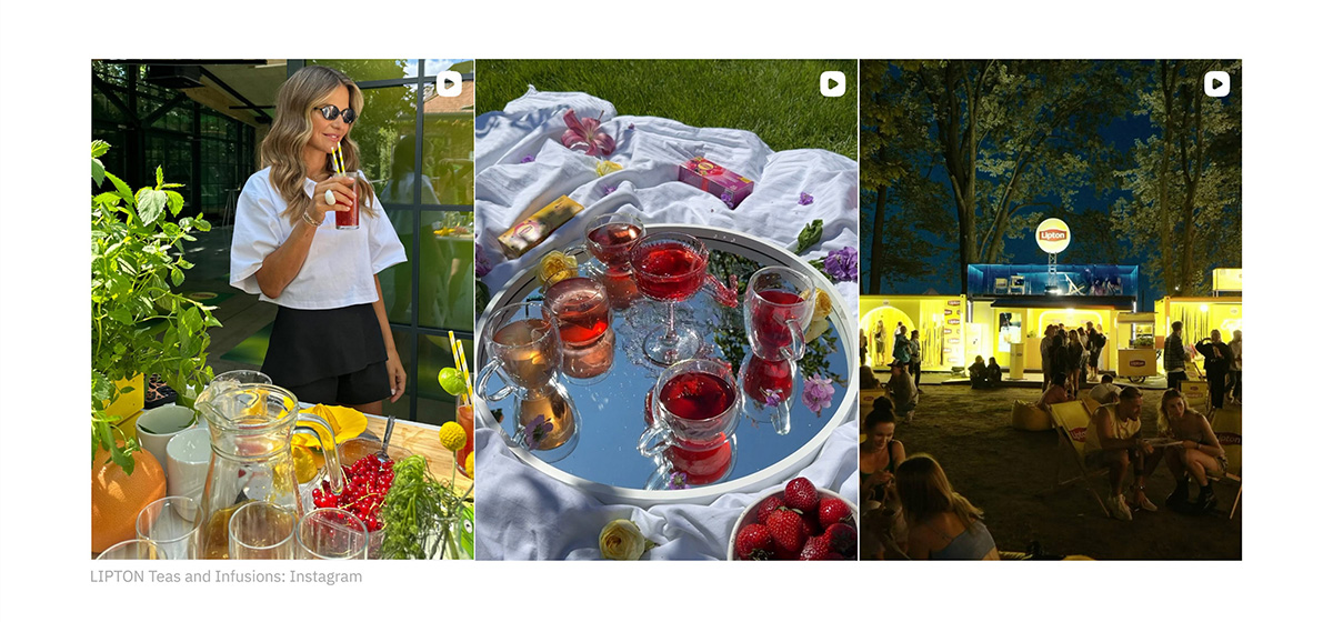 Lipton�ġ�̫�����Ρ����֣���Ĺ�λ�Ǽ����ӵ�̫����