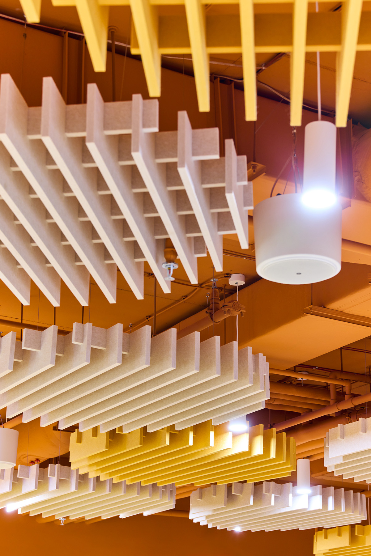 Lipton�ġ�̫�����Ρ����֣���Ĺ�λ�Ǽ����ӵ�̫����