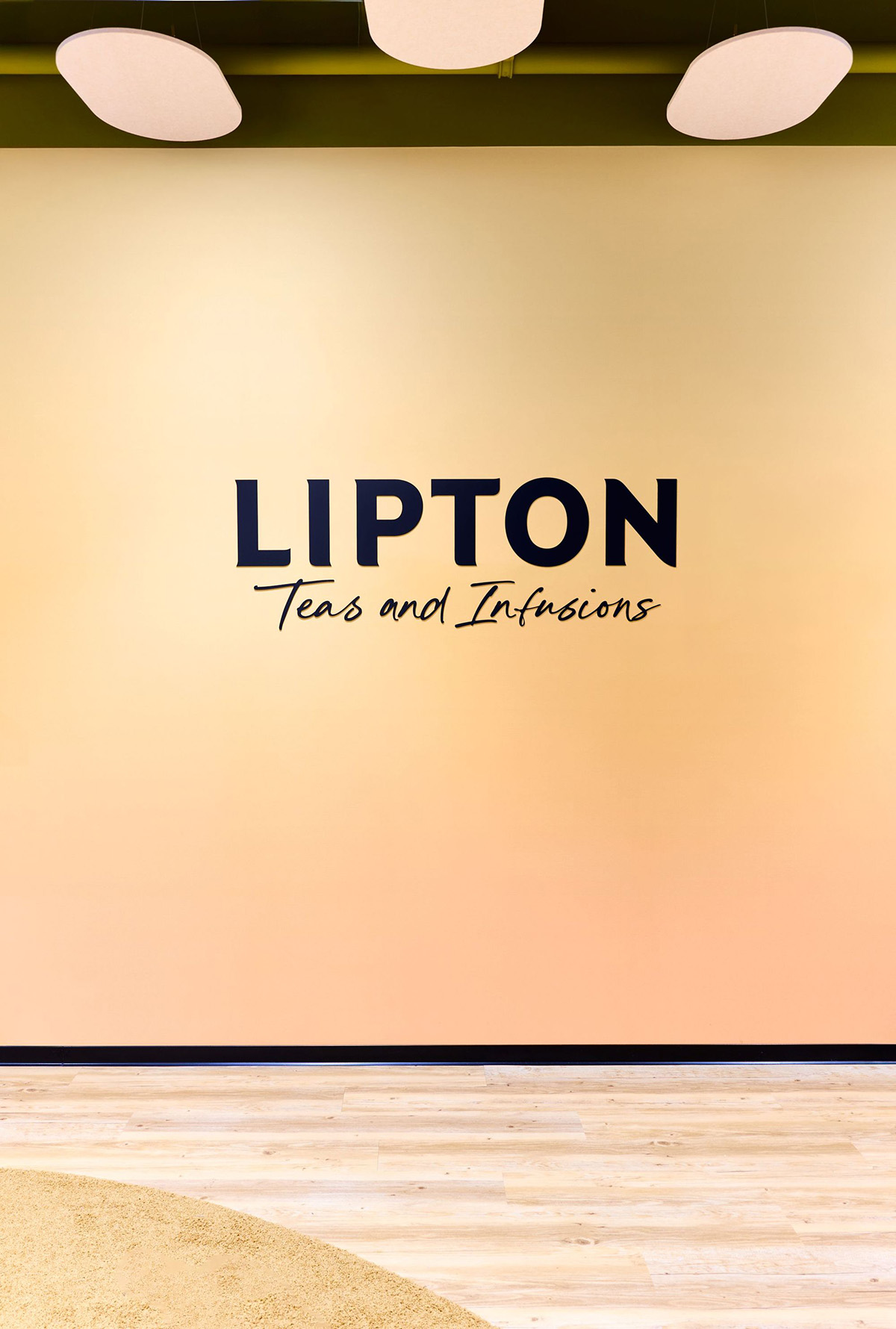 Lipton�ġ�̫�����Ρ����֣���Ĺ�λ�Ǽ����ӵ�̫����