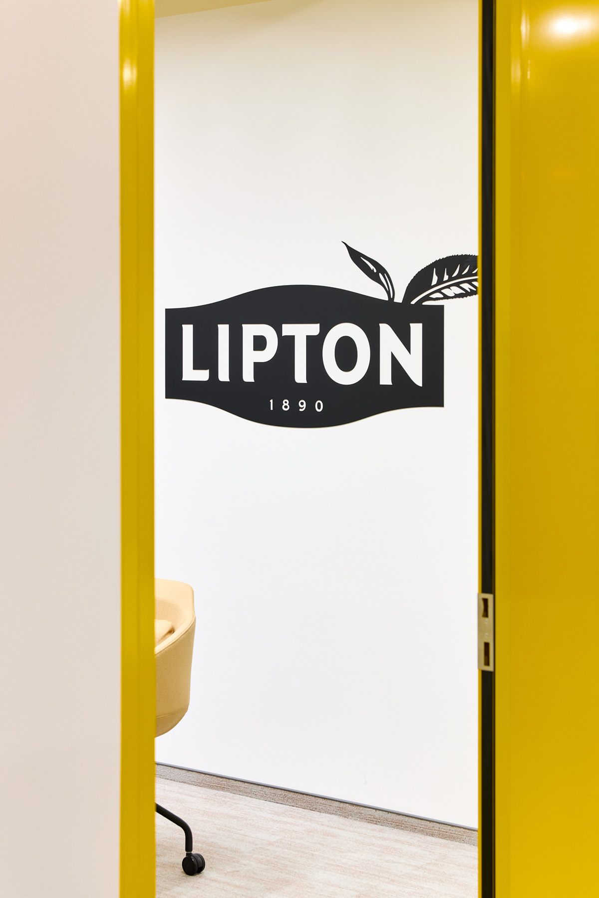 Lipton�ġ�̫�����Ρ����֣���Ĺ�λ�Ǽ����ӵ�̫����