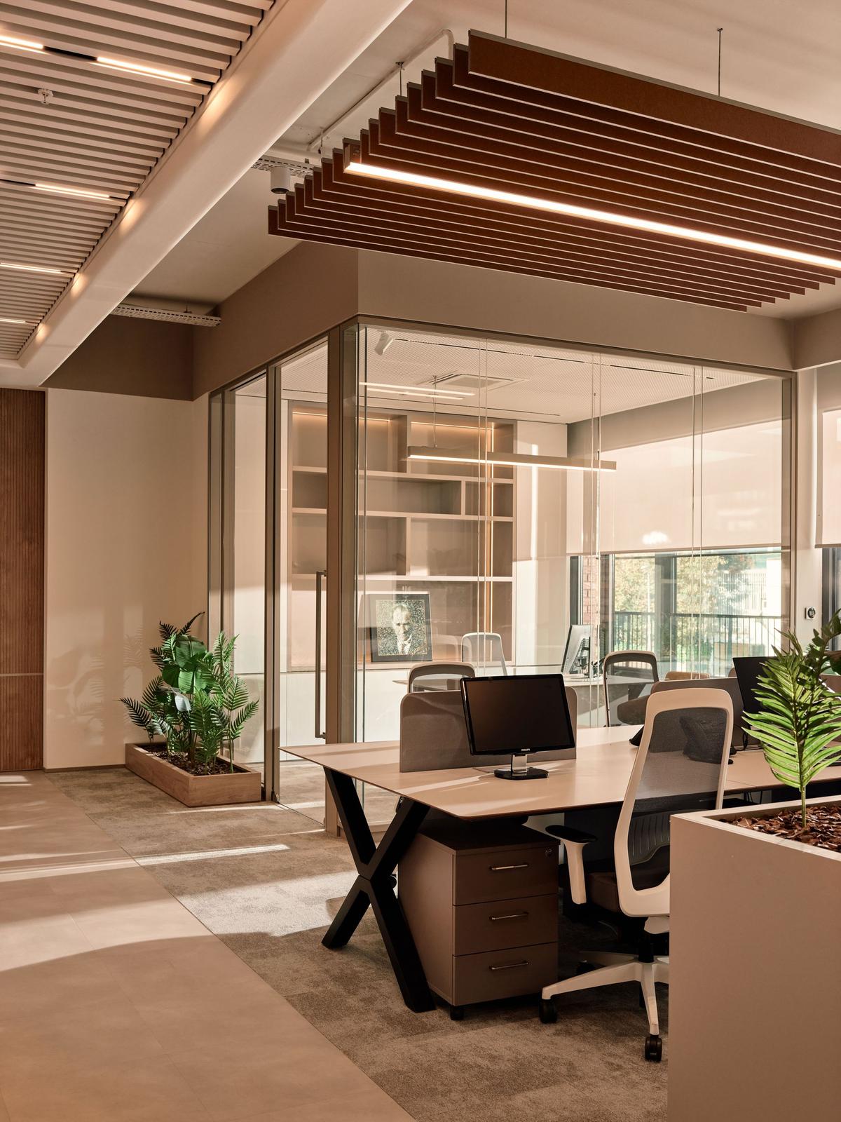 Feyzi ��ó��˹̹�����칫�ң������ʸи߶�����