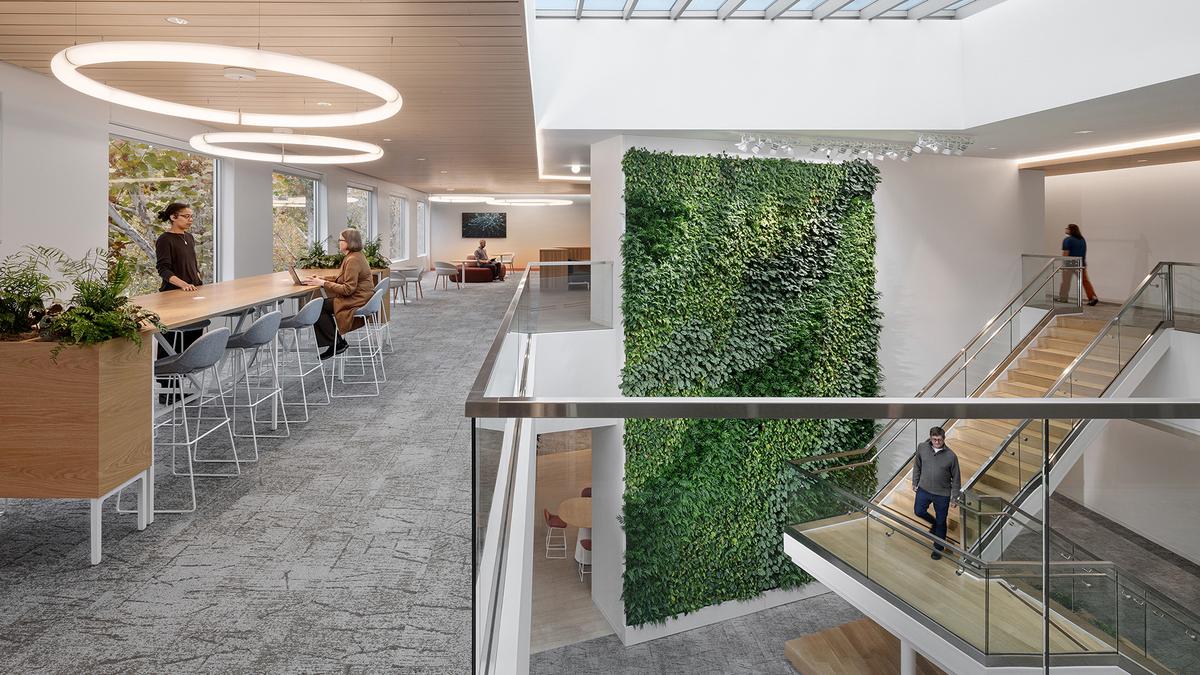 Cadence�ܲ�԰���������죺������ЧЭ����δ���칫