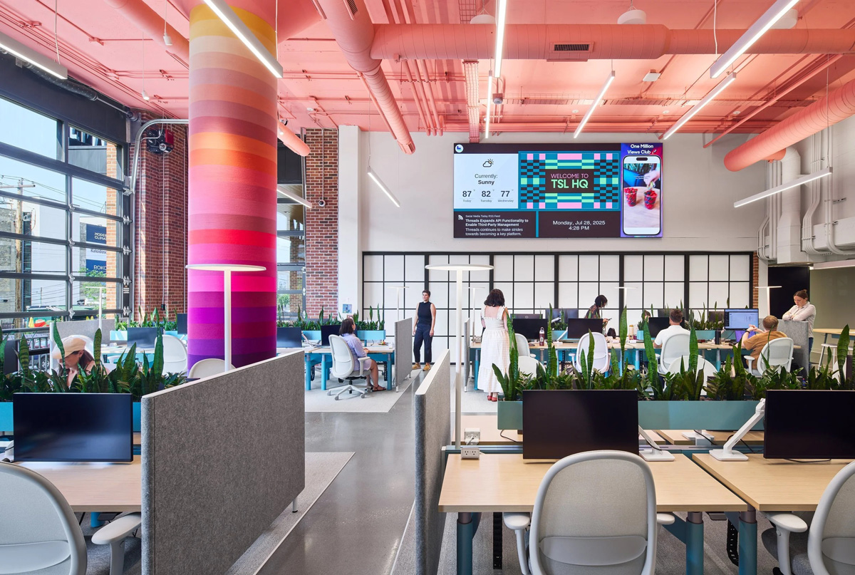 ��������Ϊ���������罻ý��The Social Lights�Ѱ칫�����ɴ���־�