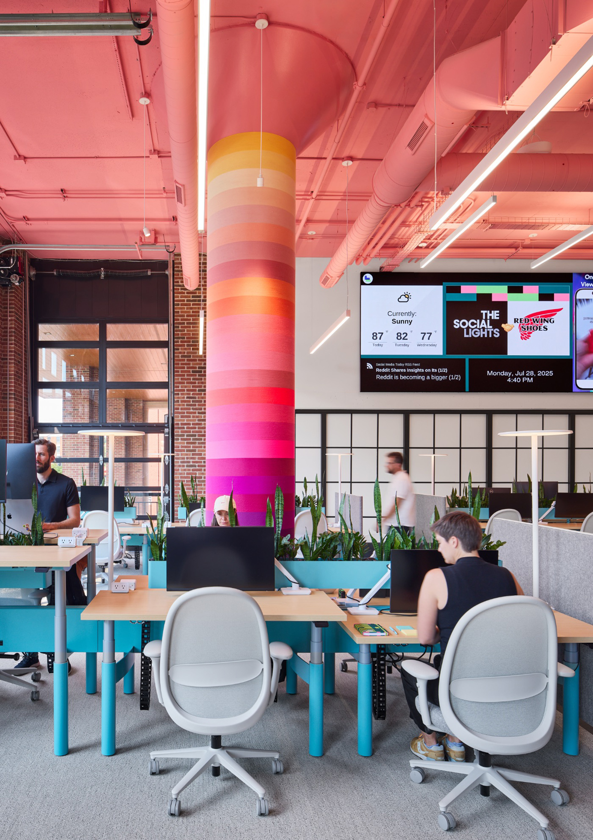 ��������Ϊ���������罻ý��The Social Lights�Ѱ칫�����ɴ���־�