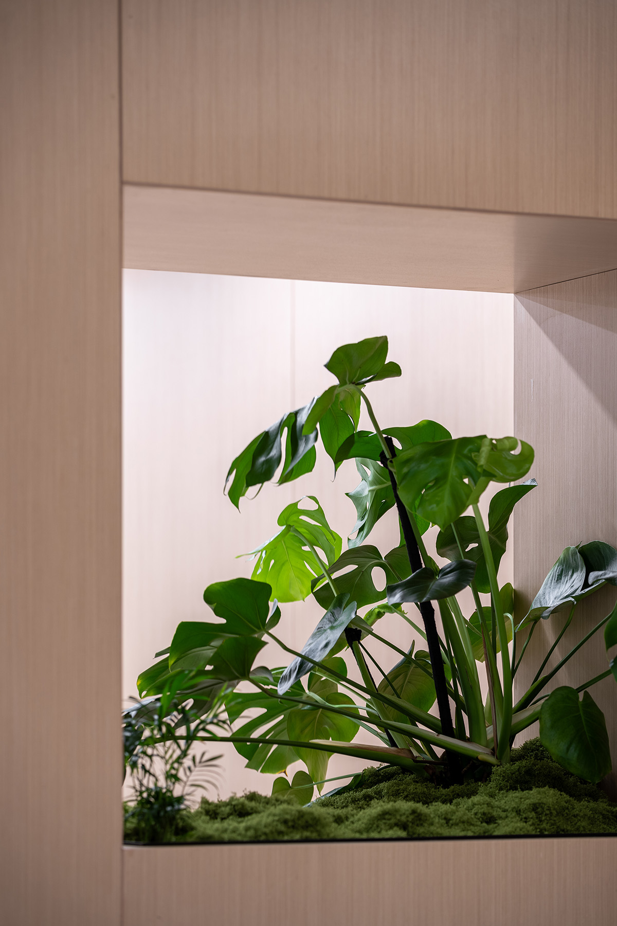 ����ʱ�����ַ������Ϻ��ܲ��칫