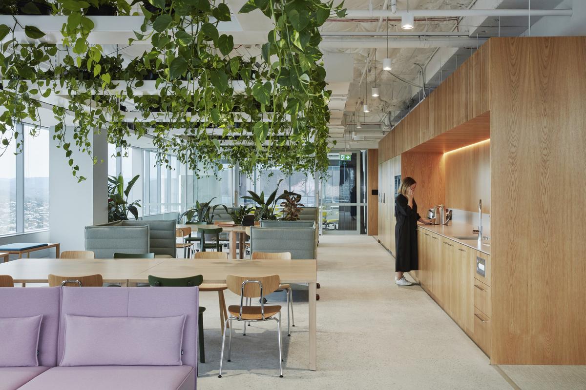 �������ϻ���ART����˹���ܲ���14��ռ������ʷ��δ��