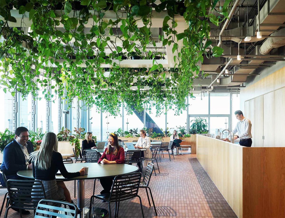 �������ϻ���ART����˹���ܲ���14��ռ������ʷ��δ��