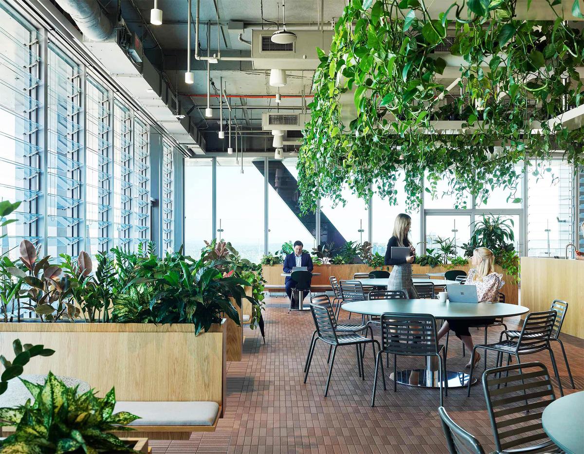 �������ϻ���ART����˹���ܲ���14��ռ������ʷ��δ��