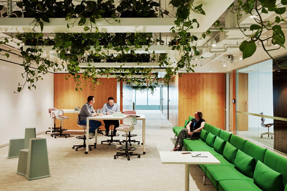 �������ϻ���ART����˹���ܲ���14��ռ������ʷ��δ��