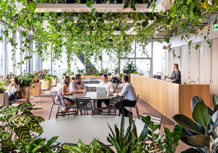 �������ϻ���ART����˹���ܲ���14��ռ������ʷ��δ��