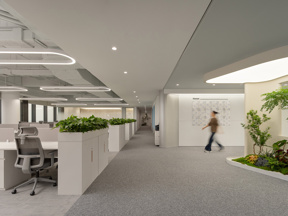 �����ع������Ӷ����ӡ������з��������������罻�򡱵�˫������