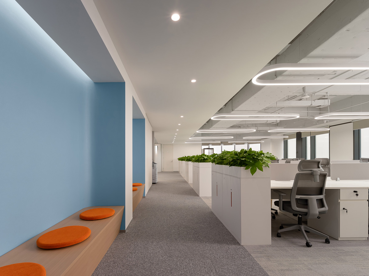 �����ع������Ӷ����ӡ������з��������������罻�򡱵�˫������