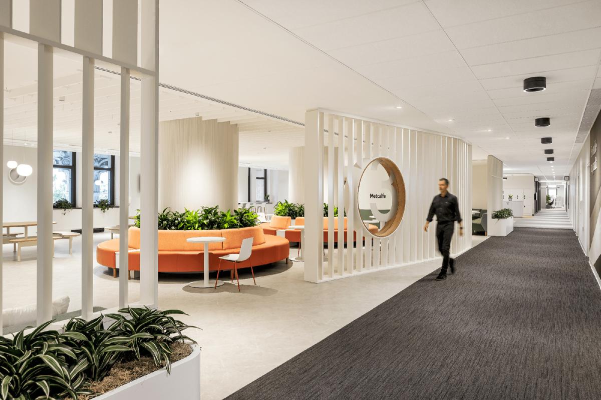 �⡤������������Sun Life�����������������ܲ����