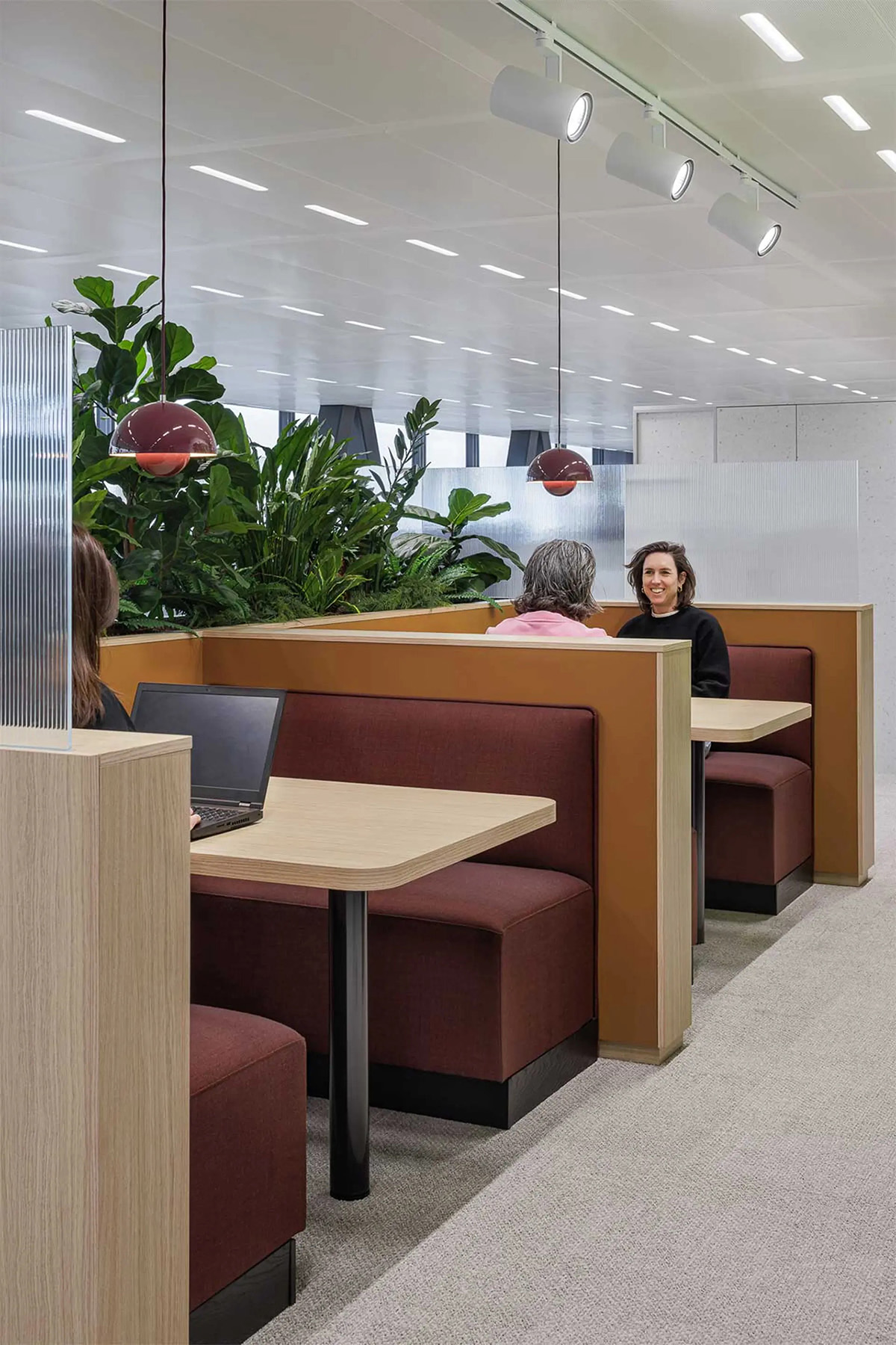 ���70���ϳ�����Ofi ������+�������ܲ��ı���԰�Ǩ