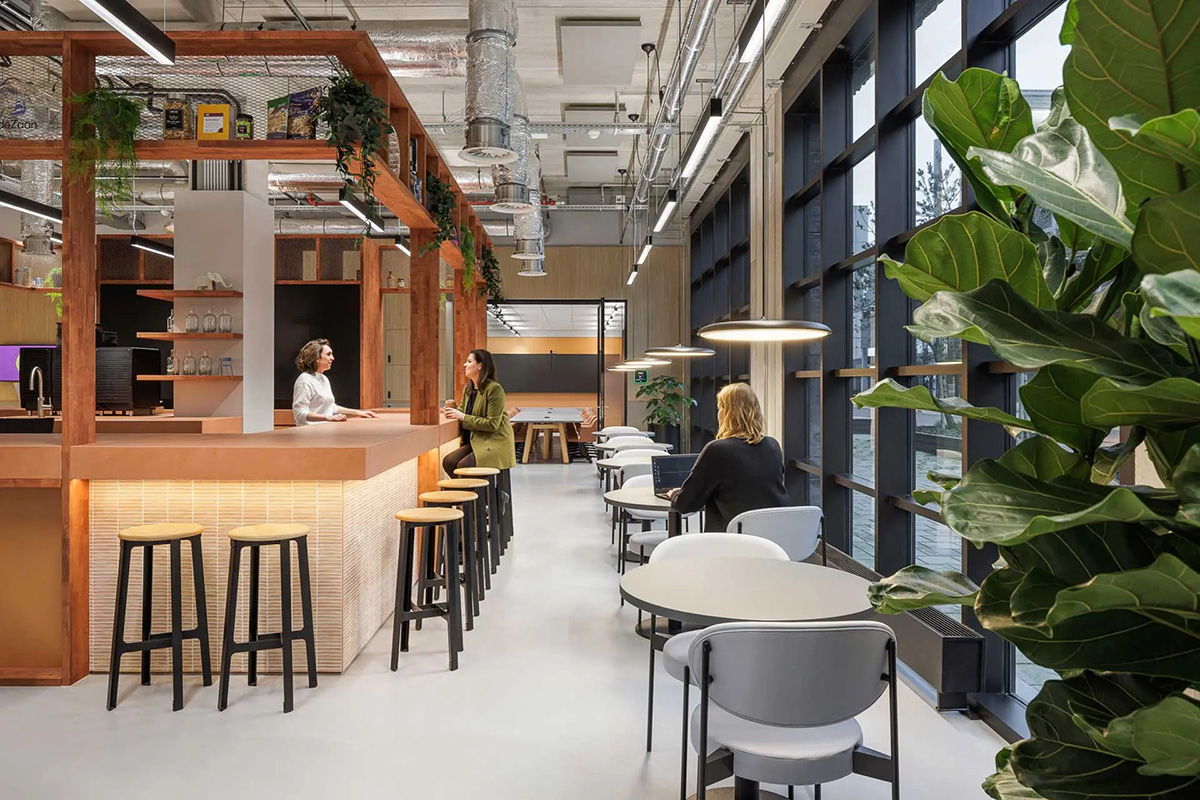 ���70���ϳ�����Ofi ������+�������ܲ��ı���԰�Ǩ