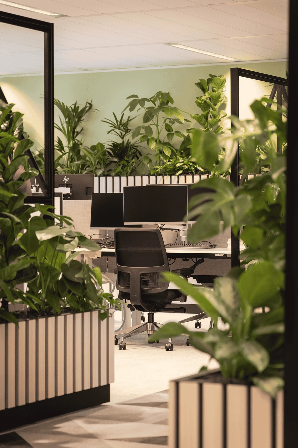 ÿ����ս�Ը��£�����Ricoh�����ܲ���Ǩַ�߼�