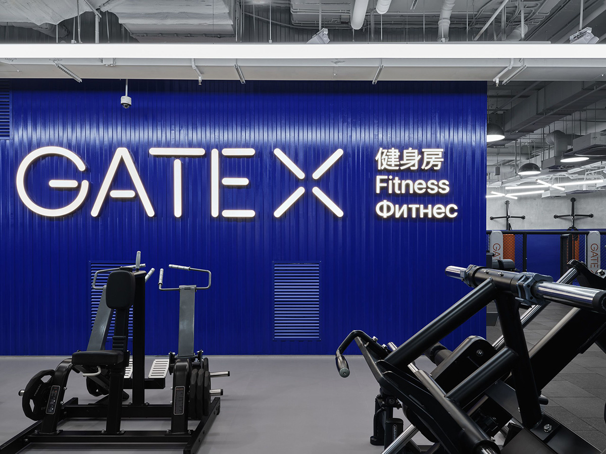 ����˹GATE-X��Ϊ��ҵ��������ƴ���˼·