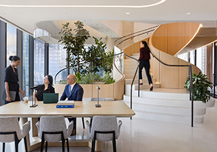 �������������ɳ������ִ������ռ���Ƶĸ��·���