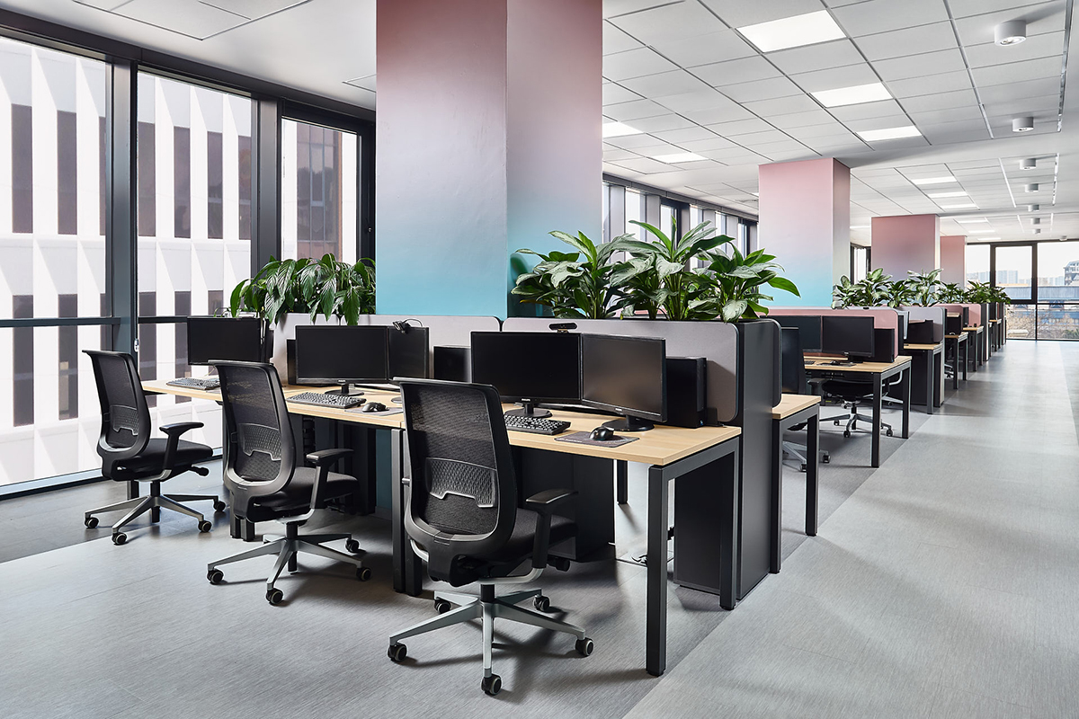 ��ѯ��˾Taskforce˹�������ܲ���ɫ��+��ֲ+���Ų���