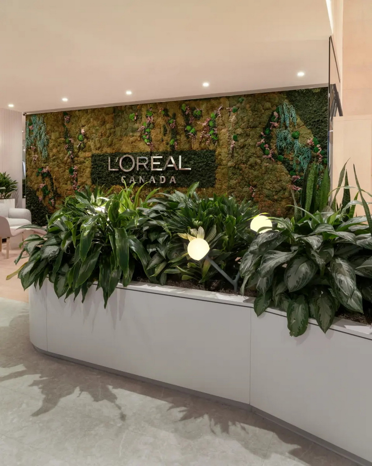 L'Oreal�ܲ������ռ��������죺�ɳ�����Ա����������