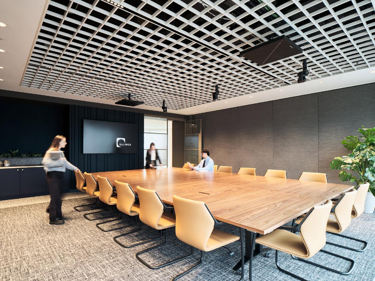 ����DLA Piper�����ܲ�����עԱ��������˫��֤���